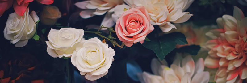 Close-up of rose bouquet