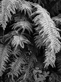 Full frame shot of textured surface