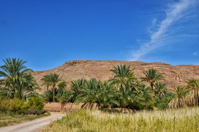 Scenic view of desert road against blue sky