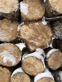 log