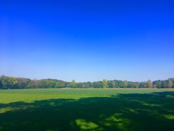 Scenic view of landscape against clear blue sky