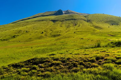 Scenic view of landscape against clear sky