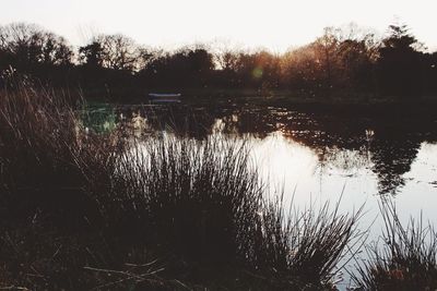 Scenic view of calm lake at sunset