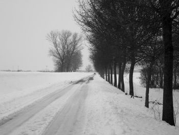 Snow covered landscape