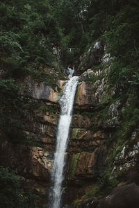 Scenic view of waterfall in forest