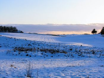 Scenic view of snow covered field against sky during sunset