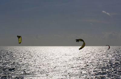 Kiteboardings in sea against sky on sunny day