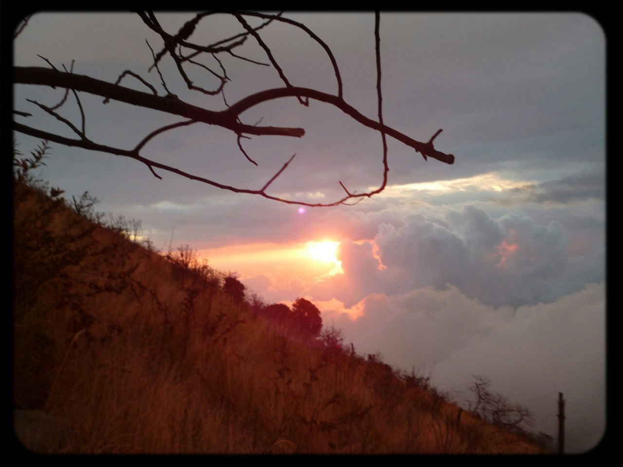 transfer print, sunset, sky, sun, tranquil scene, scenics, tranquility, auto post production filter, beauty in nature, cloud - sky, bare tree, silhouette, nature, tree, landscape, sunlight, cloud, branch, sunbeam, idyllic