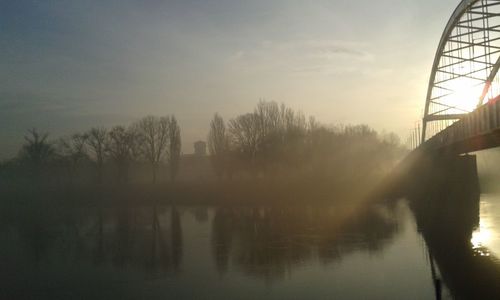 Reflection of trees in water