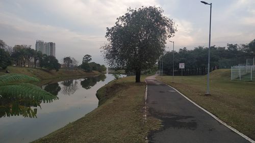 Scenic view of street by trees against sky