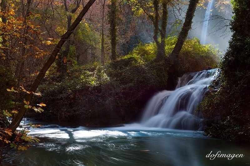 WATERFALL IN FOREST