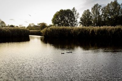 Scenic view of lake