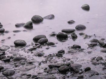 High angle view of snow covered rocks