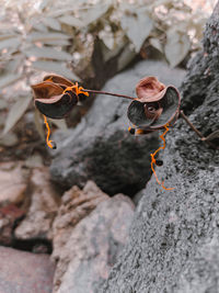 High angle view of rocks on rock