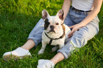 Midsection of woman with dog on field