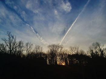 Low angle view of silhouette trees against sky at sunset