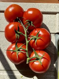 High angle view of tomatoes on table