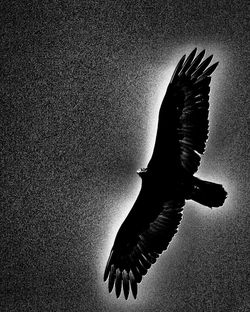 Low angle view of tree