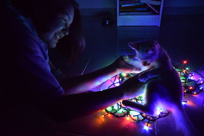 Cat sitting in illuminated room