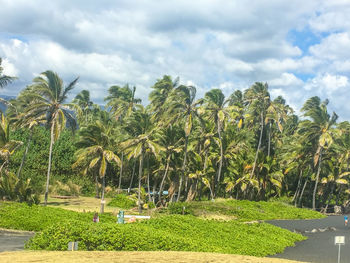 Scenic view of landscape against cloudy sky