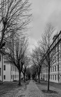 Bare trees and buildings against sky