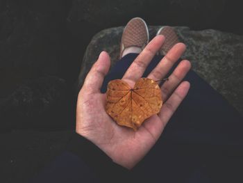 Close-up of hand holding leaf