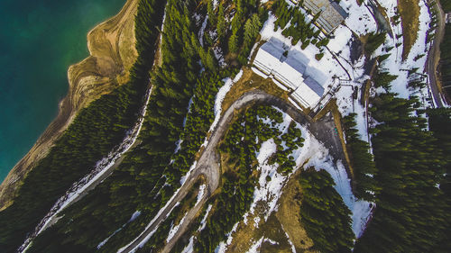 High angle view of river amidst trees and buildings