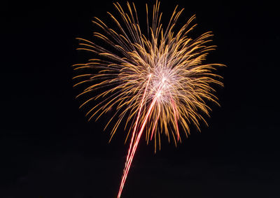 Low angle view of firework display at night