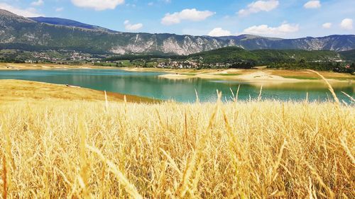 Scenic view of lake against sky