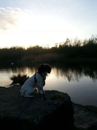 Scenic view of lake at sunset