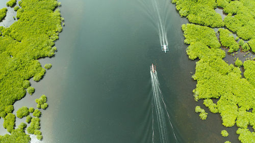 High angle view of sea amidst plants