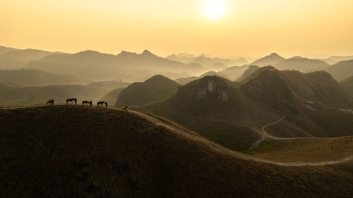 landscape