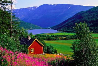 Scenic view of house and mountains