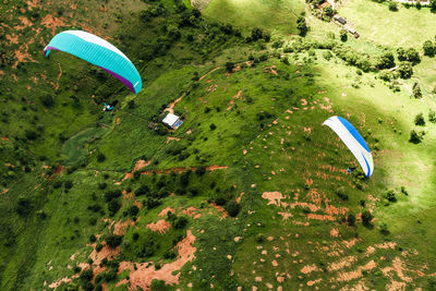 High angle view of kite flying over trees