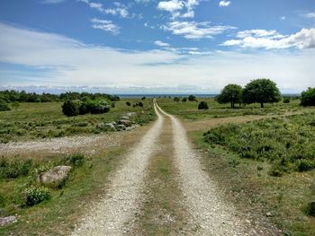 Empty road in field