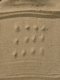 High angle view of footprints on sand