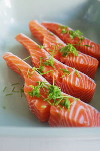 Close-up of uncooked seafood in container