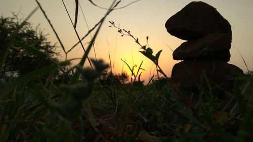 Close-up of silhouette plants against sky during sunset