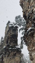 Low angle view of snow covered rock against trees