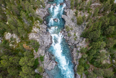 High angle view of waterfall in forest