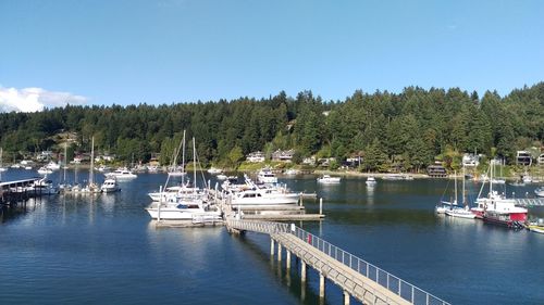 Sailboats moored on lake against sky