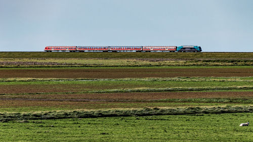 Train on field against sky