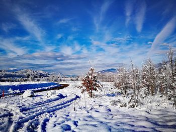 Snow covered landscape against blue sky