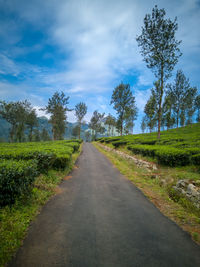 Road amidst trees on field against sky