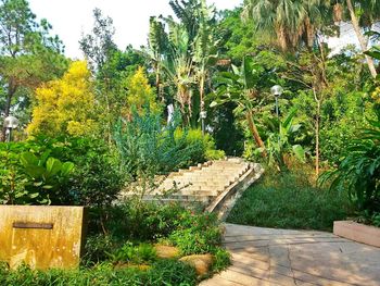 Plants and trees in park