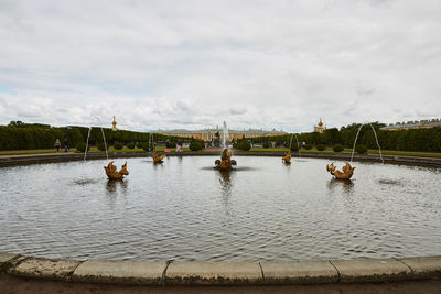 Swan on water against sky