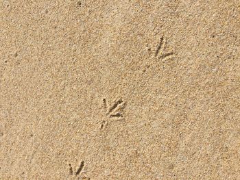 High angle view of footprints on sand at beach