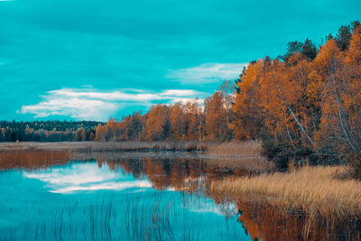 Scenic view of lake against sky during autumn