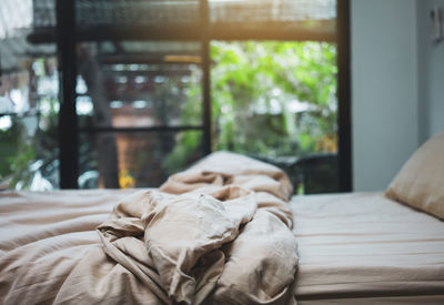 Cat resting on bed at home