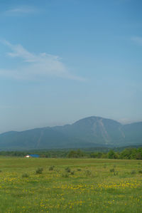 Scenic view of landscape against sky